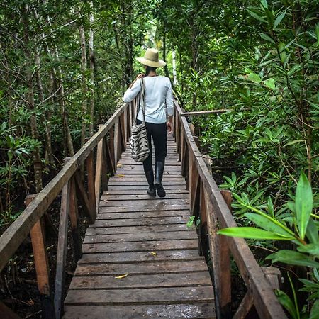 Jardin Botanico Del Pacifico Y Mecana Ecohotel Баія-Солано Екстер'єр фото