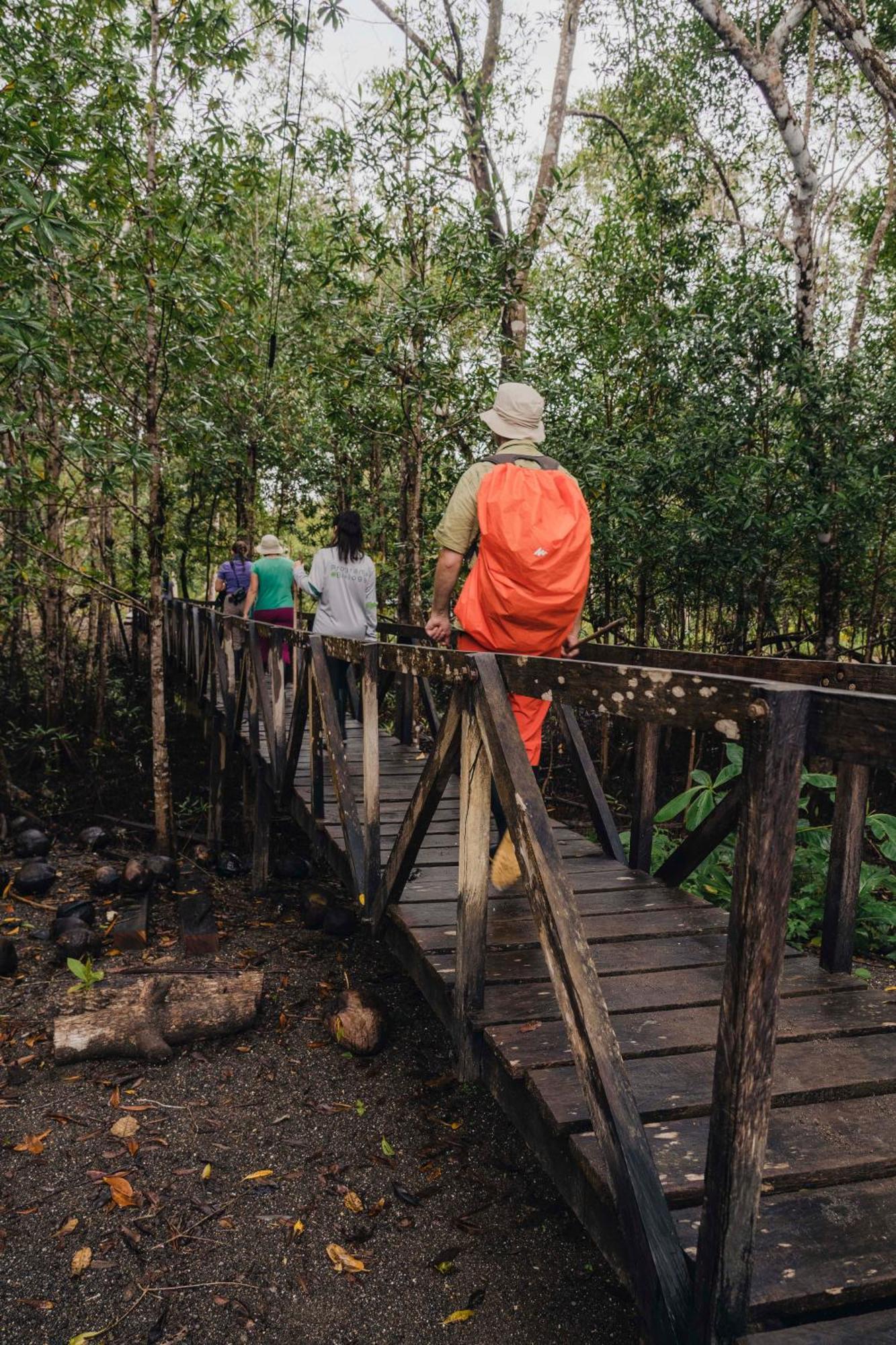 Jardin Botanico Del Pacifico Y Mecana Ecohotel Баія-Солано Екстер'єр фото