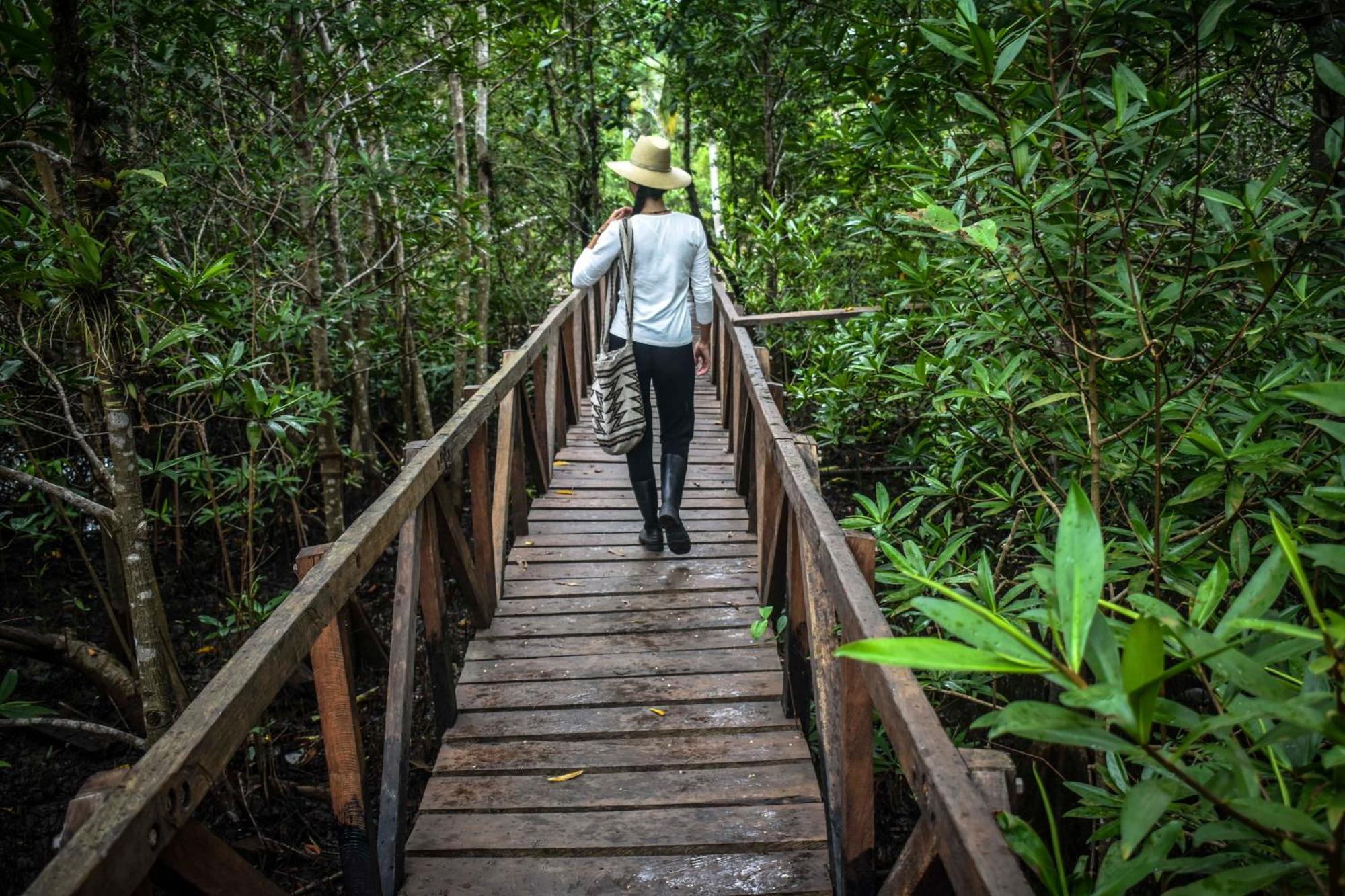 Jardin Botanico Del Pacifico Y Mecana Ecohotel Баія-Солано Екстер'єр фото