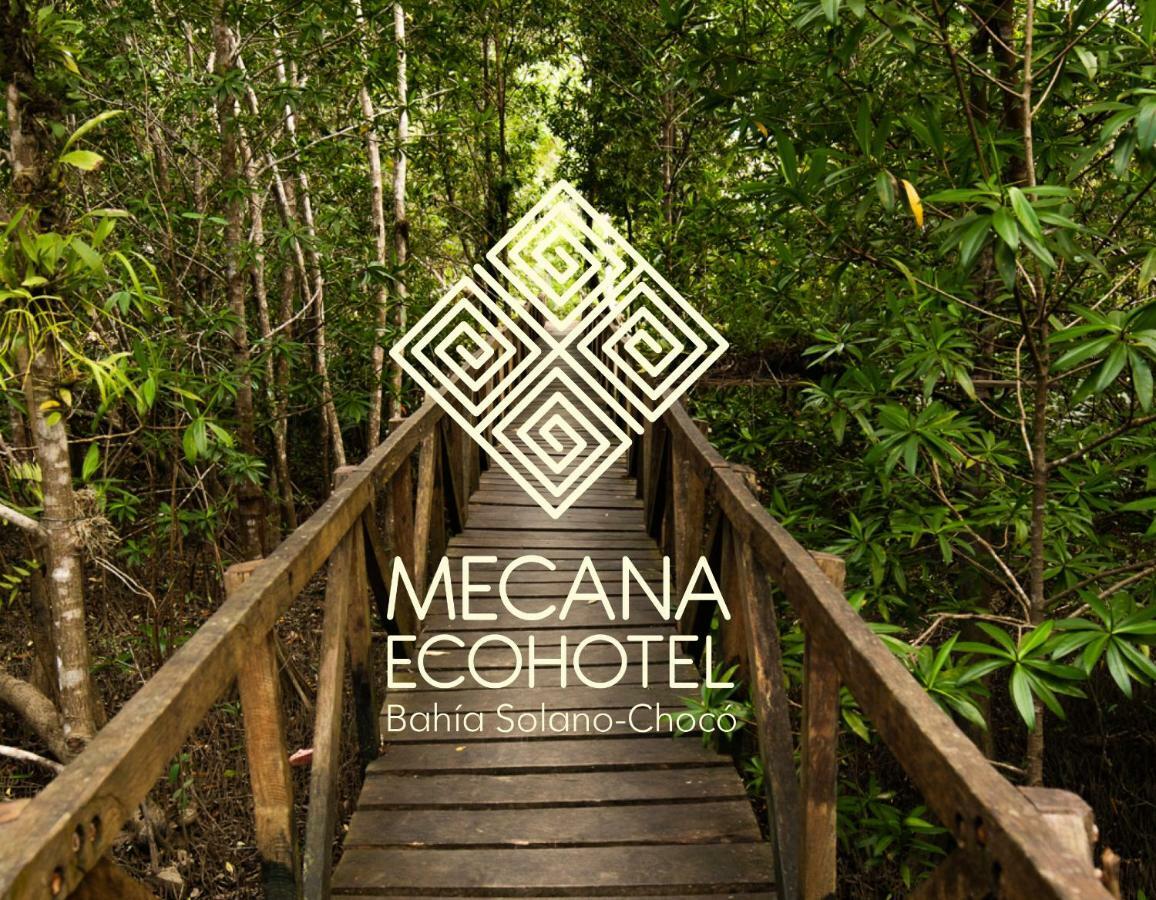 Jardin Botanico Del Pacifico Y Mecana Ecohotel Баія-Солано Екстер'єр фото